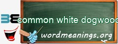 WordMeaning blackboard for common white dogwood